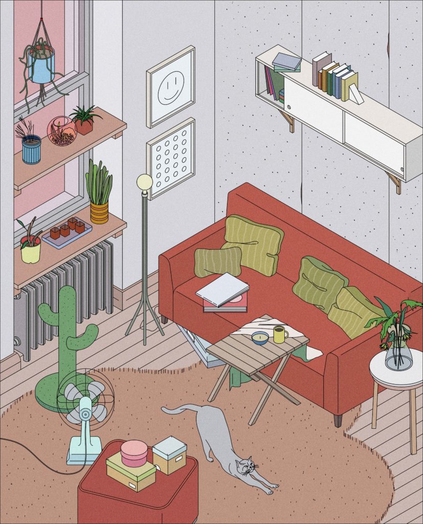 Living room with a couch and a cat stretching